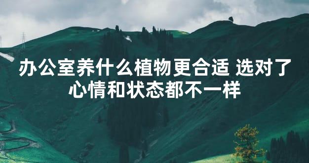办公室养什么植物更合适 选对了心情和状态都不一样